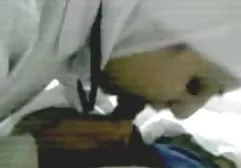 کون کلیپ سکسی خارجی hd بزرگ